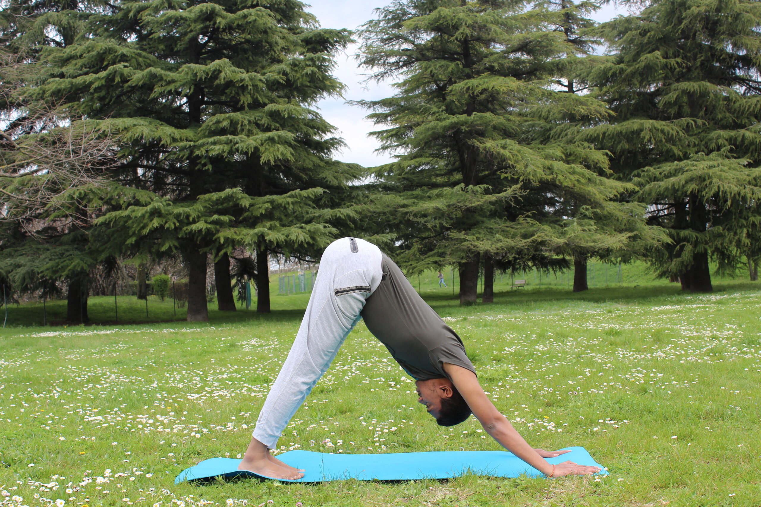 Yoga for Healthy Living | Yoga-Sadhana | Yoga-with-Gella
